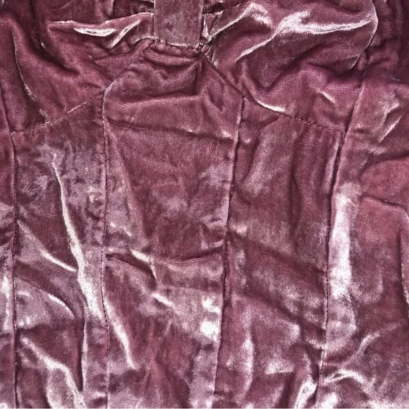 NWOT Bridgette velvet top by Free People in sizes Small and Medium - Picture 11 of 12